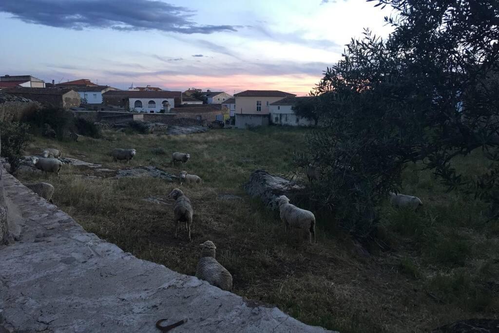 Casa - Apartamento Rural La Tahona Del Abuelo Plasenzuela エクステリア 写真