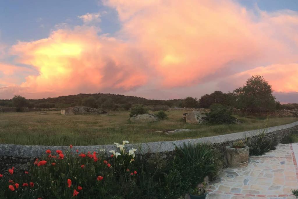 Casa - Apartamento Rural La Tahona Del Abuelo Plasenzuela エクステリア 写真