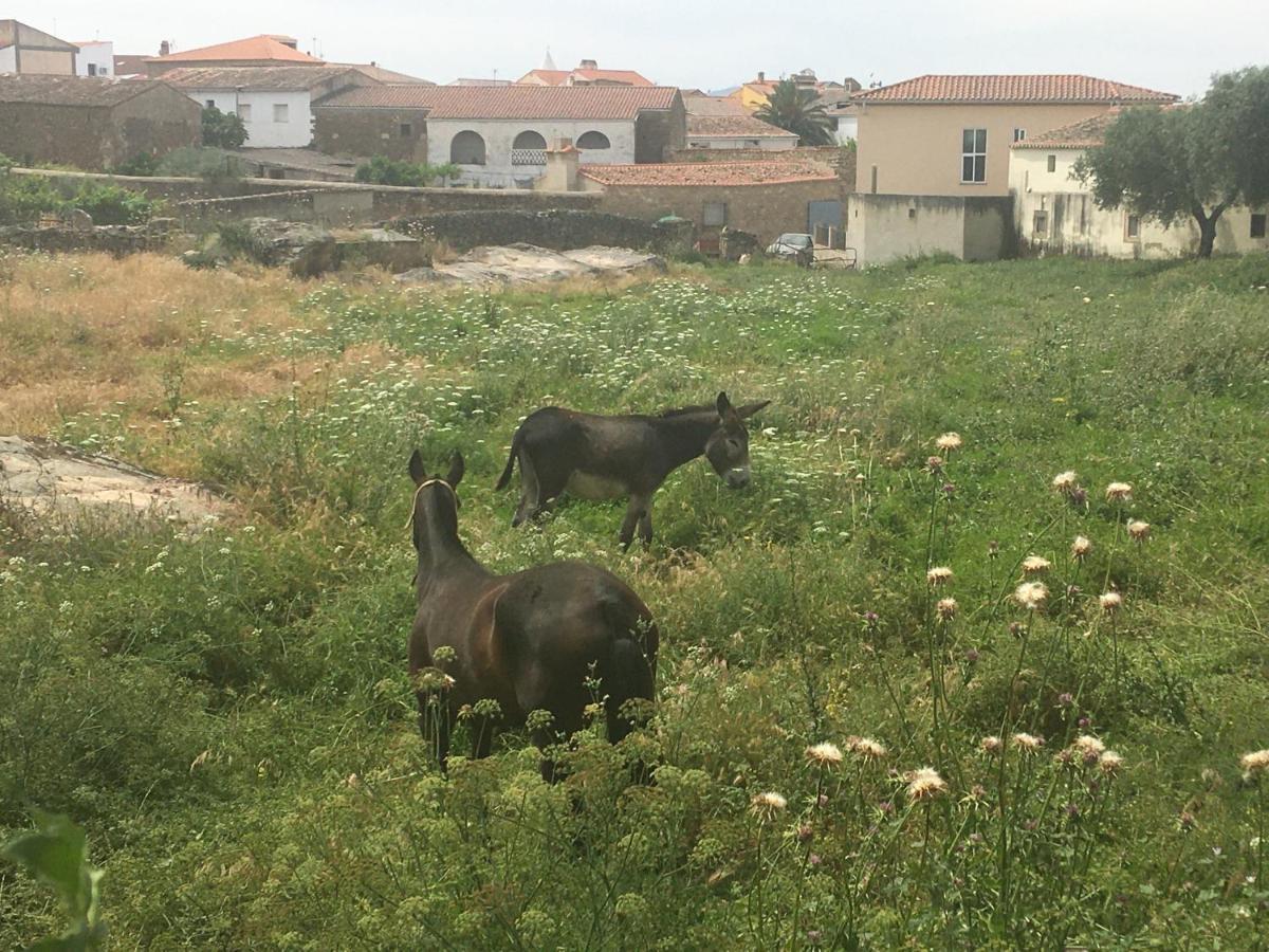 Casa - Apartamento Rural La Tahona Del Abuelo Plasenzuela エクステリア 写真