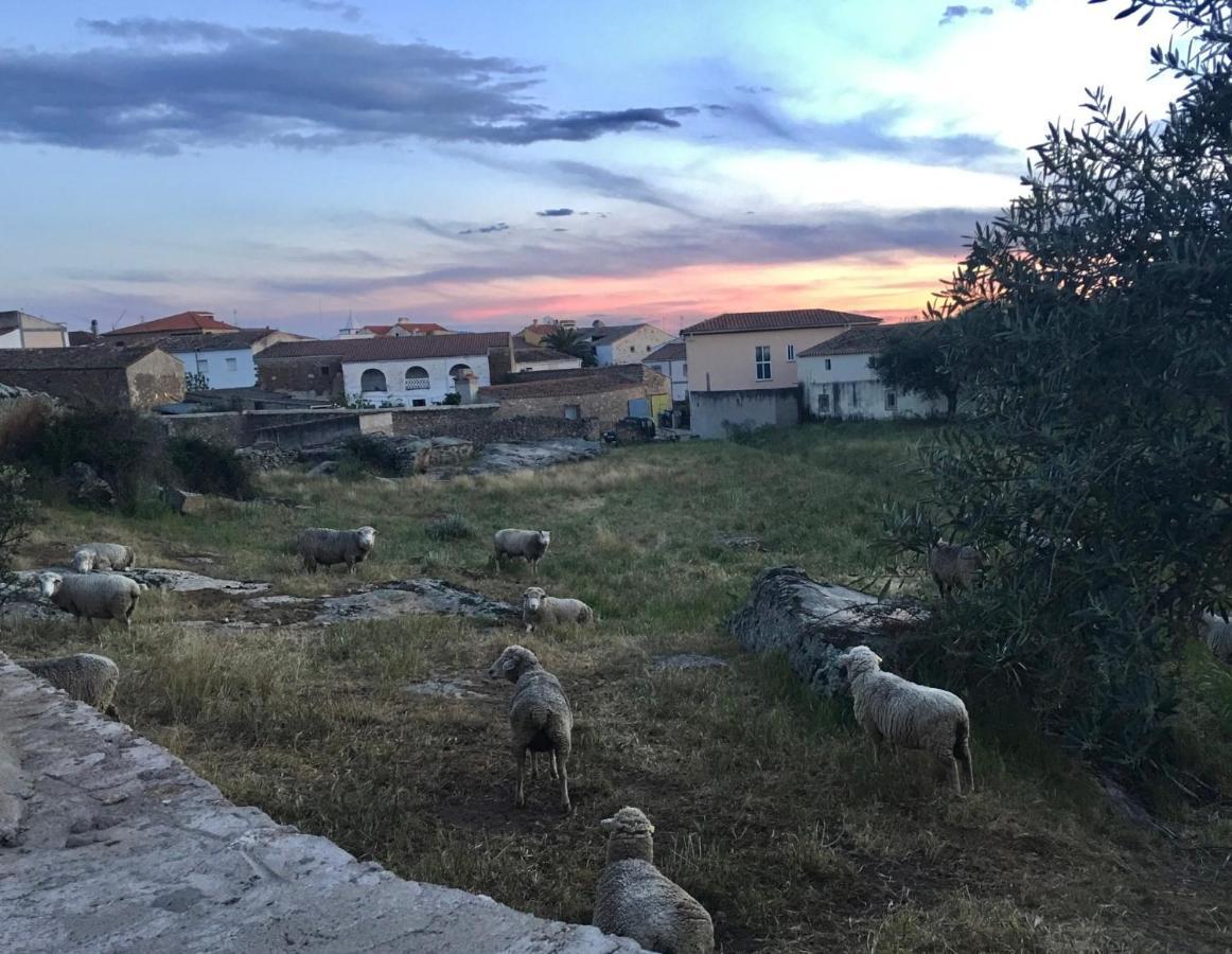 Casa - Apartamento Rural La Tahona Del Abuelo Plasenzuela エクステリア 写真